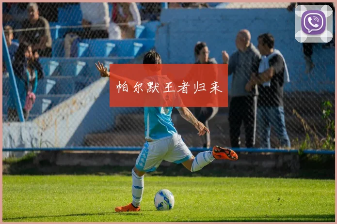 帕尔默王者归来