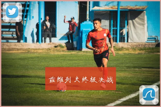 兹维列夫终极决战