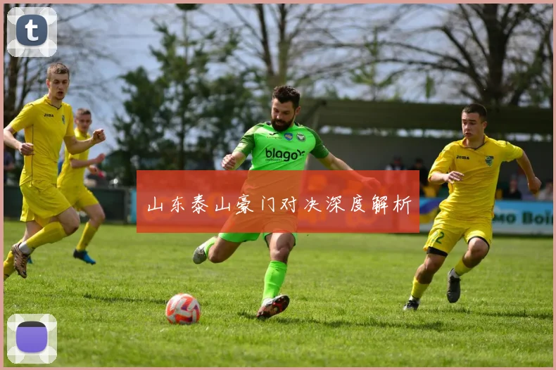 山东泰山豪门对决深度解析